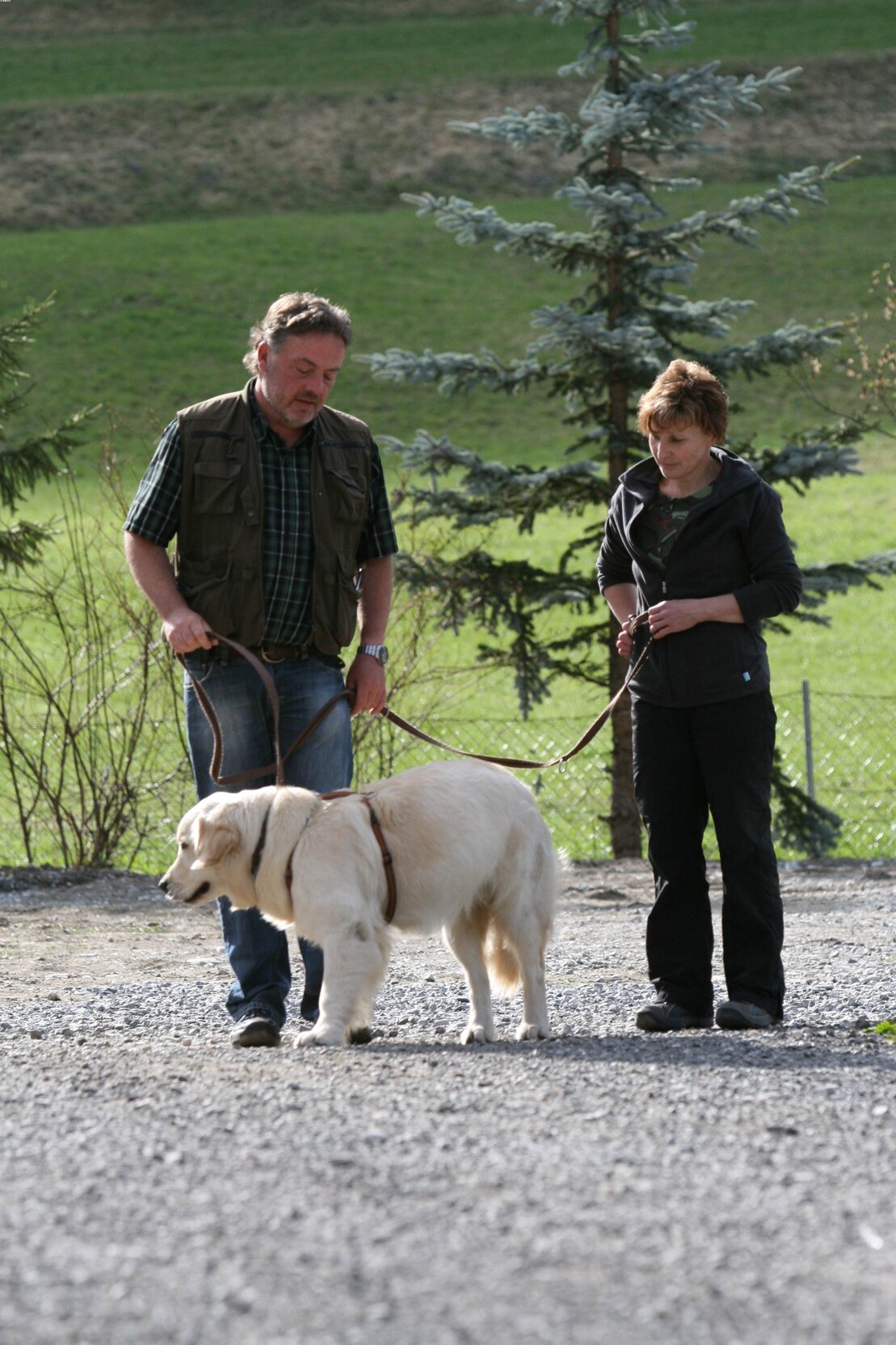 Einzel-Coaching
						Individuelle Begleitung für dich und deinen Hund – dort, wo die Themen tatsächlich auftreten: im Alltag. Ruhig, klar und auf dein Tempo abgestimmt.